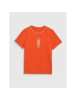 Pánské tričko s potiskem model 21433884 pánské - 4F Pánské tričko s potiskem model 21433884 pánské - 4F