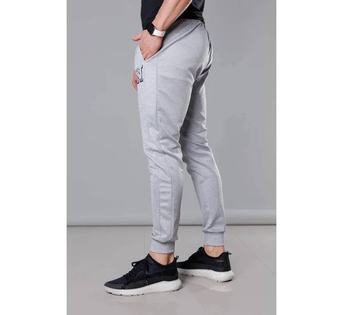 Pánske tepláky s potlačou Light Grey (8K178-2)