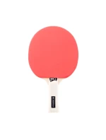 model 21909840 raketa - Martes