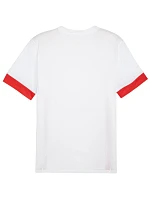 teamGoal Jersey M 11 pánské model 21281693 - Puma