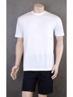 Pánské tričko model 5770427 - Henderson