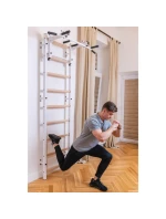 GYMNASTICKÝ REBRÍK S NASTAVITEĽNOU KOVOVOU TYČOU 731W BENCHK