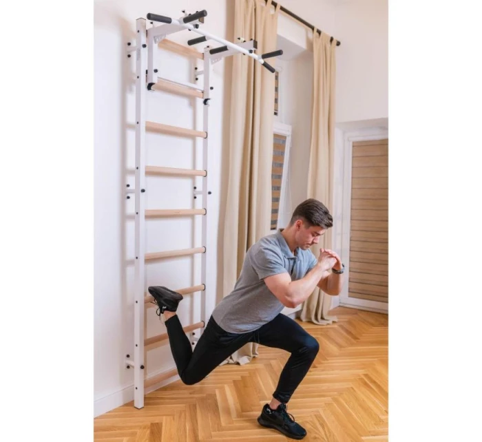 GYMNASTICKÝ REBRÍK S NASTAVITEĽNOU KOVOVOU TYČOU 731W BENCHK