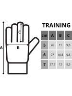 BRANKÁRSKE RUKAVICE ENERO TRAINING R.7