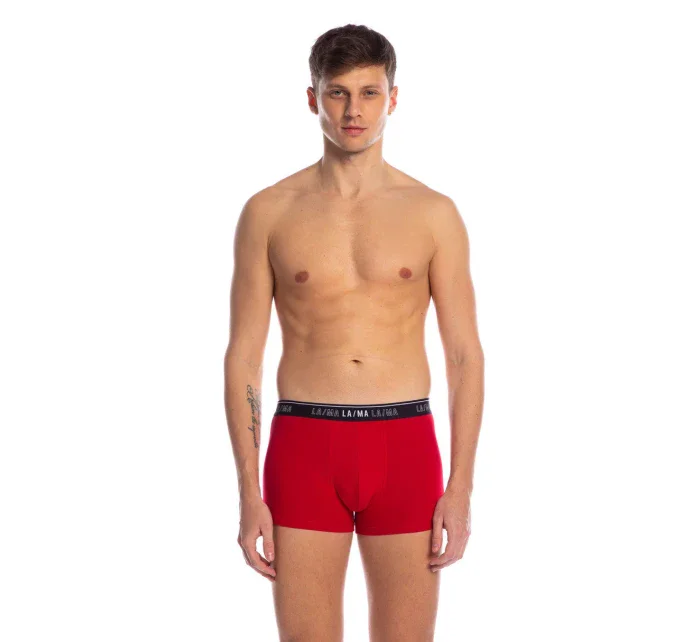 PÁNSKE ŠORTKY M-1021SZG 3PACK