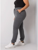 Tepláky RV DR model 21787877 tmavě šedá - FPrice