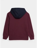 Chlapecká bavlněná mikina