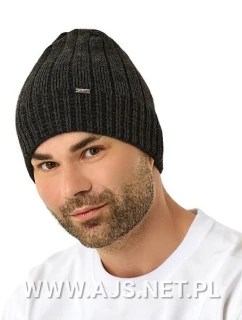 Pánská čepice model 21779004 - AJS