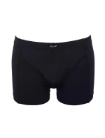 Boxerky Skin model 1573782 - Favab Boxerky Skin model 1573782 - Favab