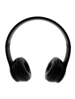 BLUETOOTH DO  BT model 21862561