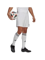 Pánské kraťasy Squadra 21 Short M model 16035784 - ADIDAS