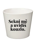 SEKNI MĚ A UVIDÍŠ KOUZLO. - malý květináč