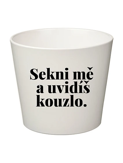 SEKNI MĚ A UVIDÍŠ KOUZLO. - malý květináč