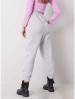 Tepláky TW DR G 080.17 svetlo šedá Tepláky TW DR G 080.17 svetlo šedá