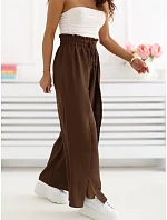 Spodnie CS SP model 22099801 ciemny brązowy - FPrice