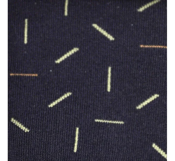 Pánské ponožky model 5790387 - Steven