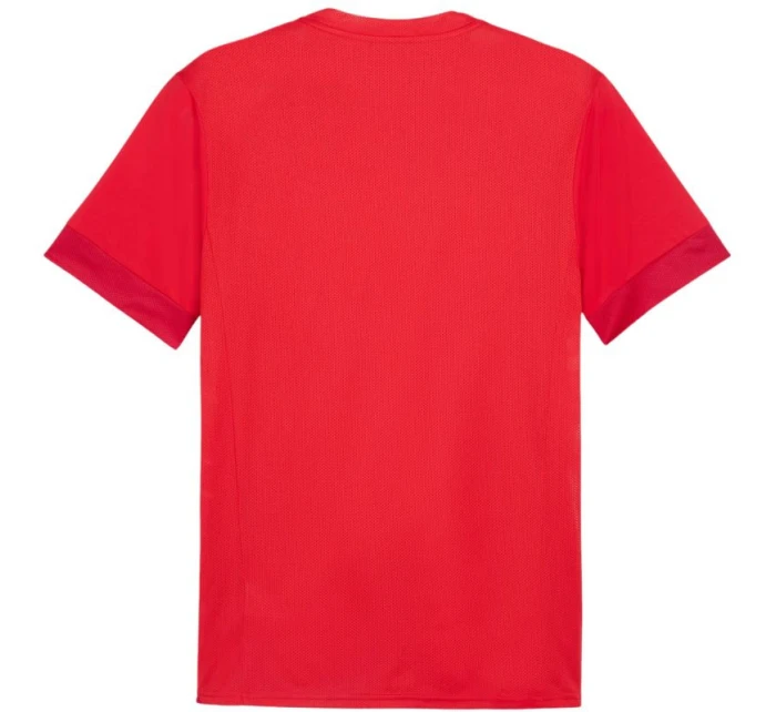 teamGoal Jersey M 01 pánské model 21283875 - Puma