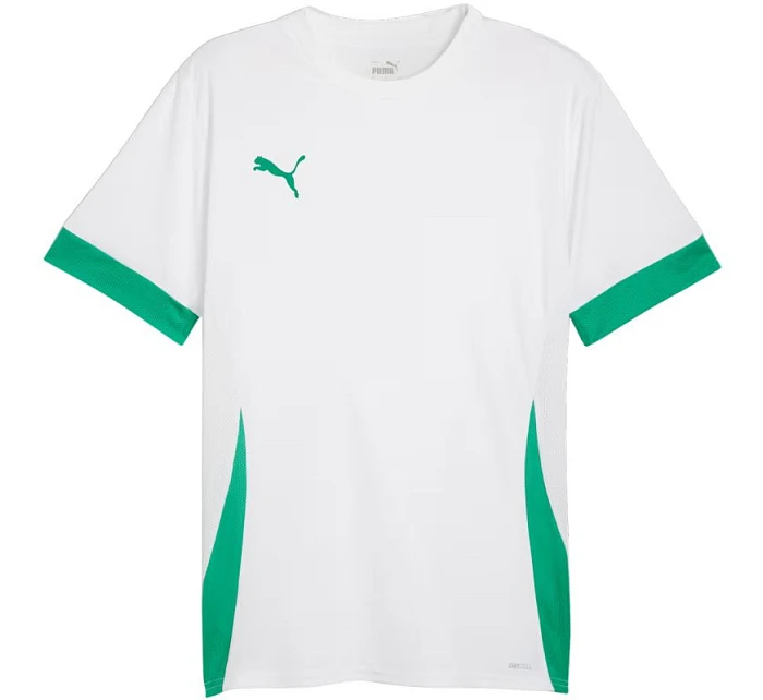 Pánský dres teamGoal Jersey white and green 15 pánské model 21392051 - Puma