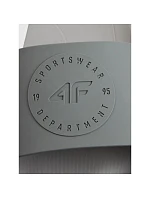 Pánske žabky 4F 4FRSS26FSLIM051-20S