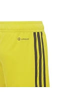 Šortky adidas Tiro 23 League Jr IB8095