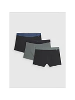 Pánské boxerky (3 balení) model 22117220 - 4F
