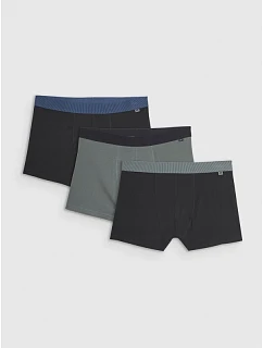 Pánské boxerky (3 balení) model 22117220 - 4F