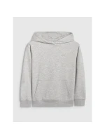 Chlapecká mikina s kapucí model 21476844 - 4F Chlapecká mikina s kapucí model 21476844 - 4F