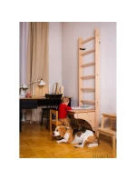 DREVENÝ REBRÍK S LAVIČKOU 112