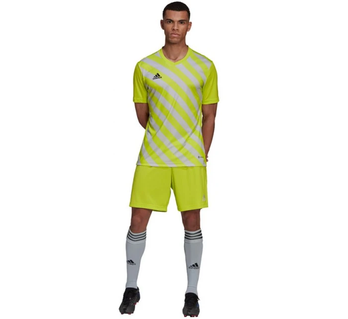 Pánský dres Entrada 22 Graphic Jersey M model 17102440 - ADIDAS