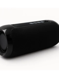 BLUETOOTH  FM   USB-C model 21861629