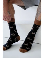 Pánské ponožky model 22042408 - Milena