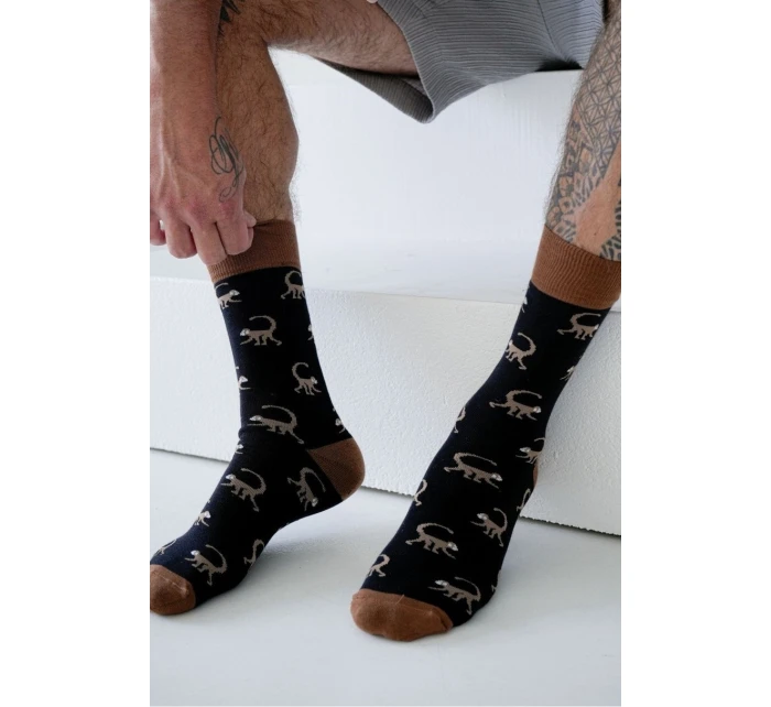 Pánské ponožky model 22042408 - Milena