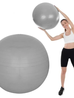 FITNESS MÍČ model 21824850