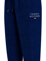 Dámske nohavice TRACK PANTS (EXT SIZES) UW0UW04522DW5 - Tommy Hilfiger