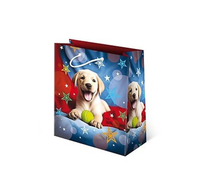 Bag T8L Set 149 model 21935552 A'10 - Paw