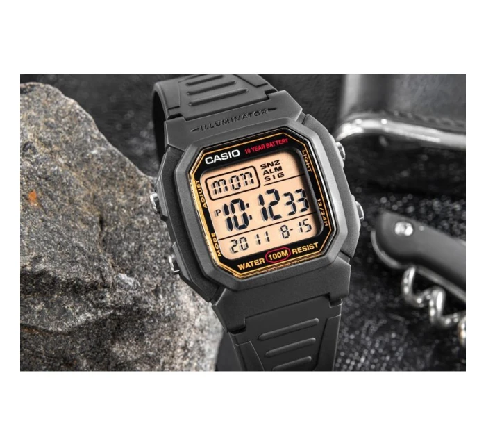 Pánské hodinky model 21804753 + BOX - CASIO Pánské hodinky model 21804753 + BOX - CASIO