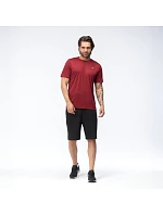 Pánske šortky LONNI SHORTS