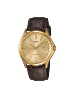 Pánské hodinky model 21805439 + krabice - CASIO Pánské hodinky model 21805439 + krabice - CASIO