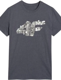 Tričko M model 21401757 24M pánské - 4F