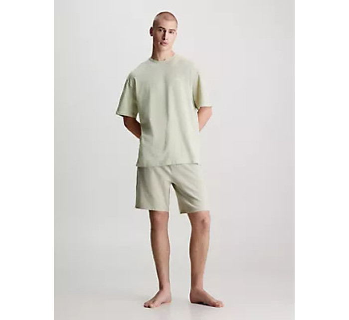 Spodní prádlo Pánská trička S/S CREW NECK 000NM2298ELL5 - Calvin Klein
