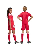 Detské šortky Adidas Tiro 26 League červená KA8817