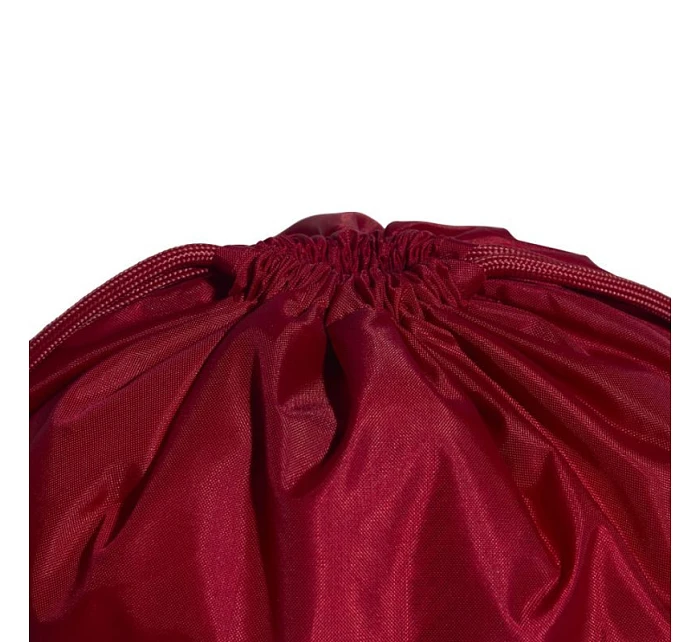 Vak na obuv a oblečení Linear model 22056667 - ADIDAS