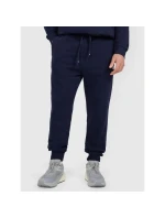 Pánske tepláky typu jogger 4F 4FRMM00TTROM1624-31S Pánske tepláky typu jogger 4F 4FRMM00TTROM1624-31S