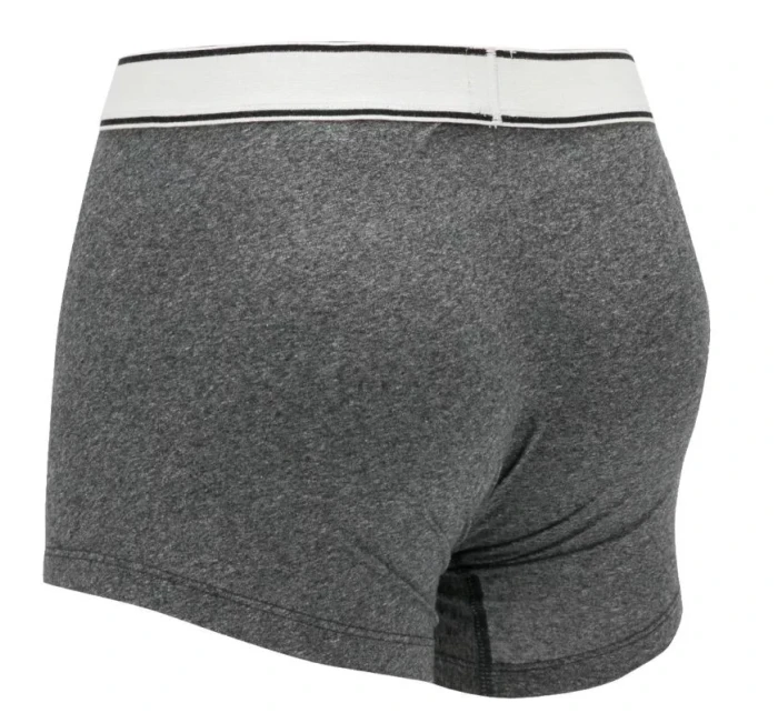 Pánské boxerky 2Pack model 18852558 šedá Levi's - Levis
