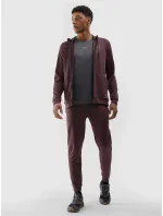 Pánska športová mikina s kapucňou 4F - hnedá