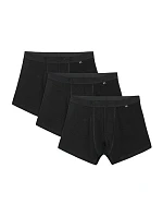 Pánské boxerky (3 balení) model 22117213 - 4F