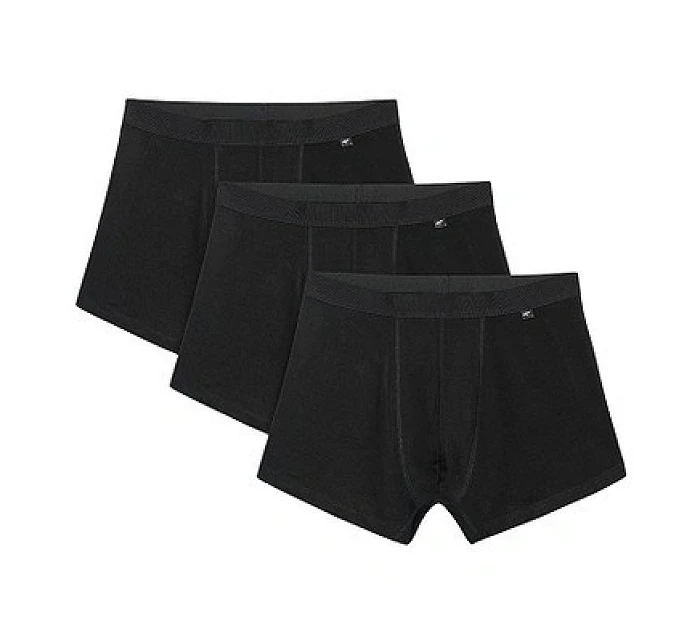 Pánské boxerky (3 balení) model 22117213 - 4F