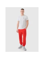 Spodnie dresowe męskie model 21460755 - 4F Spodnie dresowe męskie model 21460755 - 4F