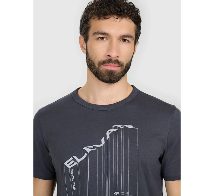 Tshirt regular z nadrukiem męski 4F model 22086798 - Hikvision