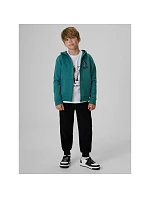 Chlapecké teplákové kalhoty typu jogger model 22369507 - 4F